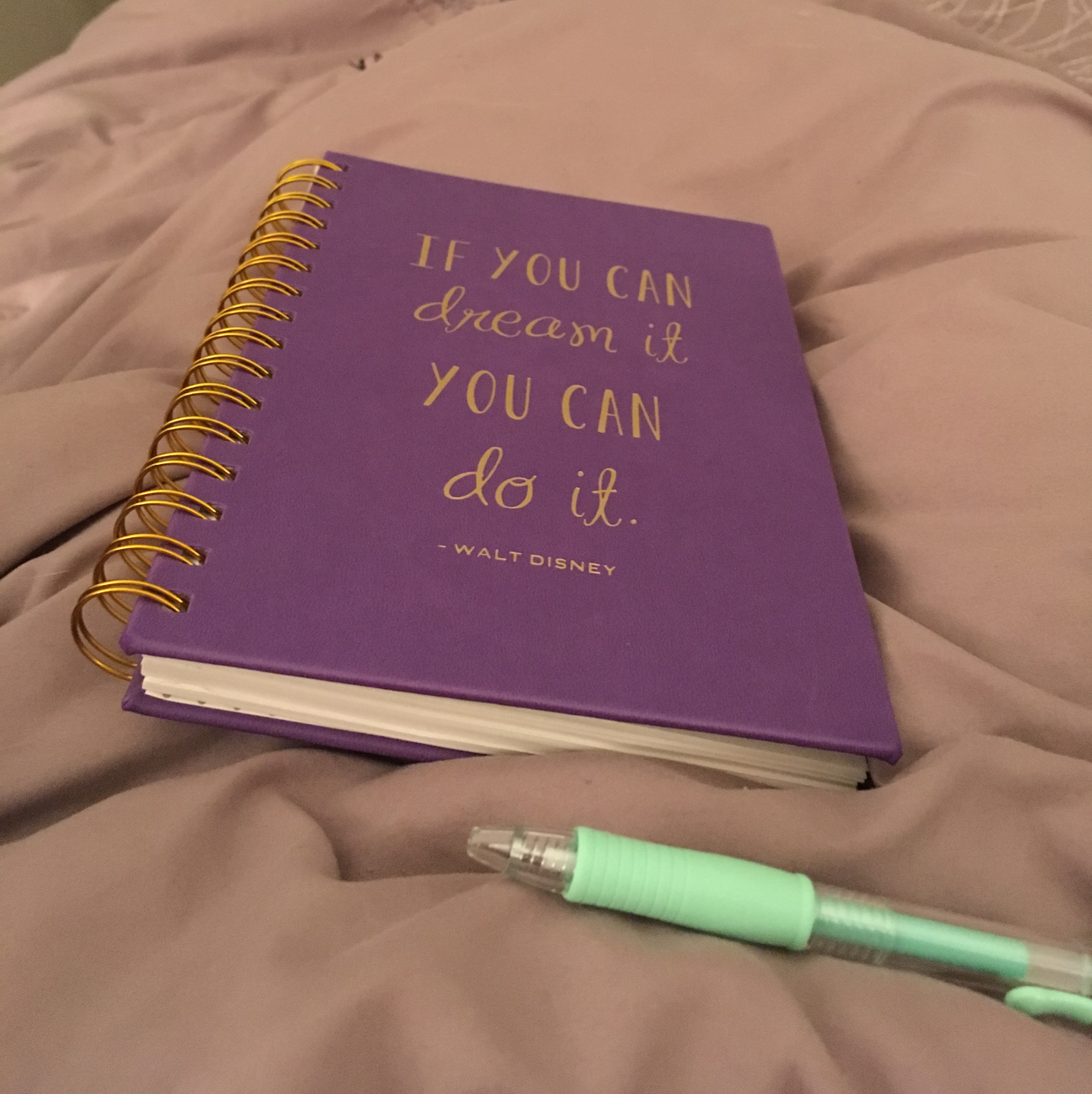 Currently my biggest struggle is learning how to find time to write my book. It's been an entire month since I worked on it last.